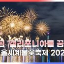 감탄 절로 나오는 빛의 향연! 미국팀 '캘리포니아를 꿈꾸며' 2024 서울세계불꽃축제 KTV국민방송과 함께! ﻿KTV 국민방송 이미지