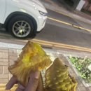 꿀맛붕어빵 이미지