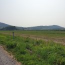 김주식농장 | 1편) 주말에 해바라기보러 해남에 갔다왔어요 그런데...