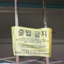 열이네마늘생강 | 마트보다 훨씬 저렴한 영등포 전통시장 방문후기