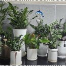 세종노인복지센터 이미지