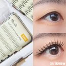 올리브영 노글루속눈썹 추천 필리밀리 01 트리플A 03 트리플I 04 크라운W 후기 쉽게 붙이는 방법