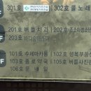 바디숨테라피 이미지