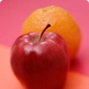 원식농장 이미지