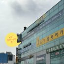 [시흥 목감] 4세 놀이축구수업 목감 솔레아스풋볼 방문후기