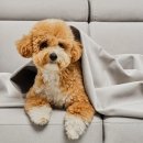 포시즌시스템 이미지