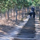 사방하천 이미지