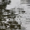 물결그림 이미지