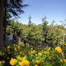 봉산휴게쉼터 이미지