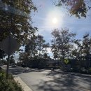 감초로 | 위점막보호제 섭취후기 [매실효능 vs 감초 효능]