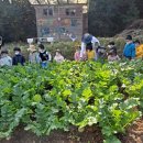 예주농장 이미지