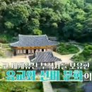 나솔사계 돌싱특집 여성출연자 10기영숙 정숙 영자 16기영자 22기영숙 직업 나이 자녀유무