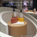 카페옐로우디 | 잠실 롯데월드몰 에비뉴엘 아쿠아디파르마 옐로우 카페 드디어 방문후기