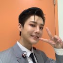 마이캣 이미지
