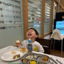 키즈 앤 패밀리 스윔스쿨 | 강원도 여행 평창 켄싱턴호텔 아기랑 내돈내산 방문후기 (10월방문 디럭스 마운틴뷰 조식 석식뷔페 키즈...