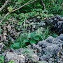 서호동-25 이미지