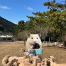 대성국민관광지(안내소) | [남해 반값여행 후기] 반값이라 두배로 즐거운 낭만의 남해 여행, 반반남해 상품권 사용 정보