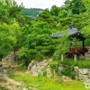 조선예가 이미지