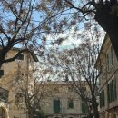 위드미 대구대정문점 | [마요르카 에스 프티 데 발데모사] Es Petit de Valldemossa 발데모사 숙소추천, 조식, 주차