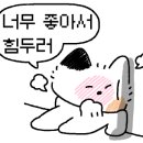 법률사무소정문 이미지