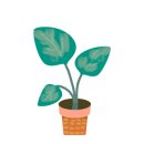 사주타로커피 이미지