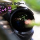 정금기획 이미지