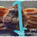 신이수산 이미지