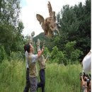 울산광역시 야생동물구조센터 이미지