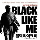 라이크미디어 이미지