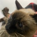 부흥로315 이미지