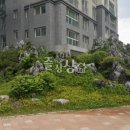 가재마을2단지아파트 네이버블로그