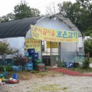 대안고기마을 이미지