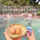 [내돈내산 후쿠오카 근교 버스일일투어 후기] 다자이후·유후인·벳부 유투어버스