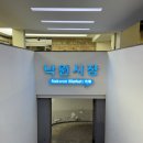 일미식당 이미지