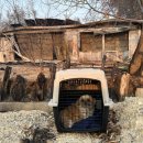 귀소농장 이미지