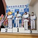 강찬 태권도장 이미지