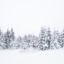 현대화공약품상사 이미지