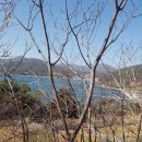 예구항 이미지