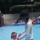 오마이랜드부산 이미지