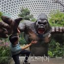 엔터맵거제