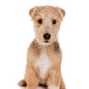 오래오래 이미지