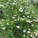 재상농장 이미지