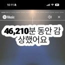 댕댕박사 이미지