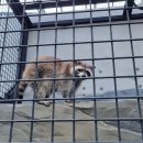 아라마루 카페 이미지