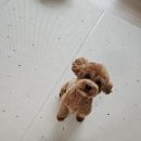 그룸 앤 먼치 이미지