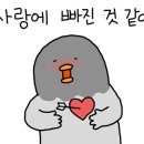 다맛정식 이미지