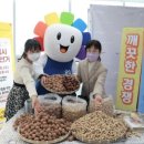 대구광역시선거관리위원회 이미지