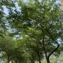 지리산청학농협하나로마트 이미지