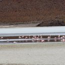 풍경 있는 호수 이미지