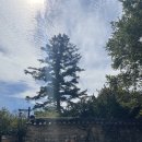 개금검도관(검도) 이미지